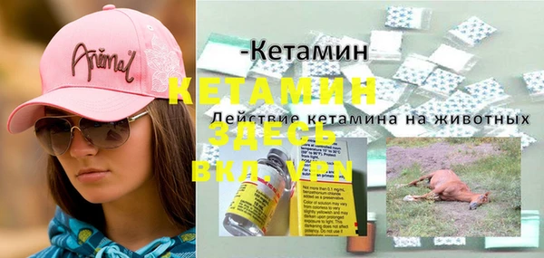 амф Магадан
