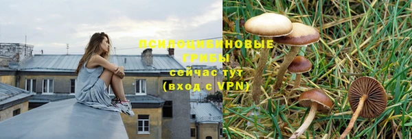 2c-b Алагир