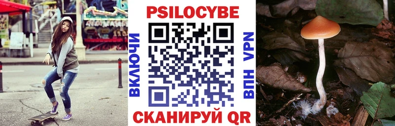 хочу наркоту  Жигулёвск  Псилоцибиновые грибы GOLDEN TEACHER 